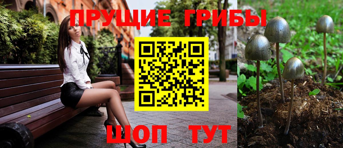 Борисоглебск  Псилоцибиновые грибы Magic Shrooms  Вход с VPN 