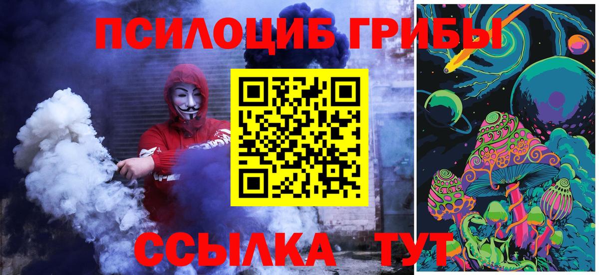 Псилоцибиновые грибы GOLDEN TEACHER Борисоглебск