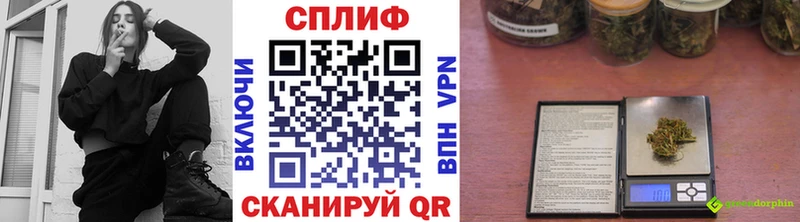 Конопля план  блэк спрут ссылка  Борисоглебск 